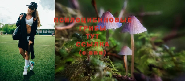 амфетамин Медногорск